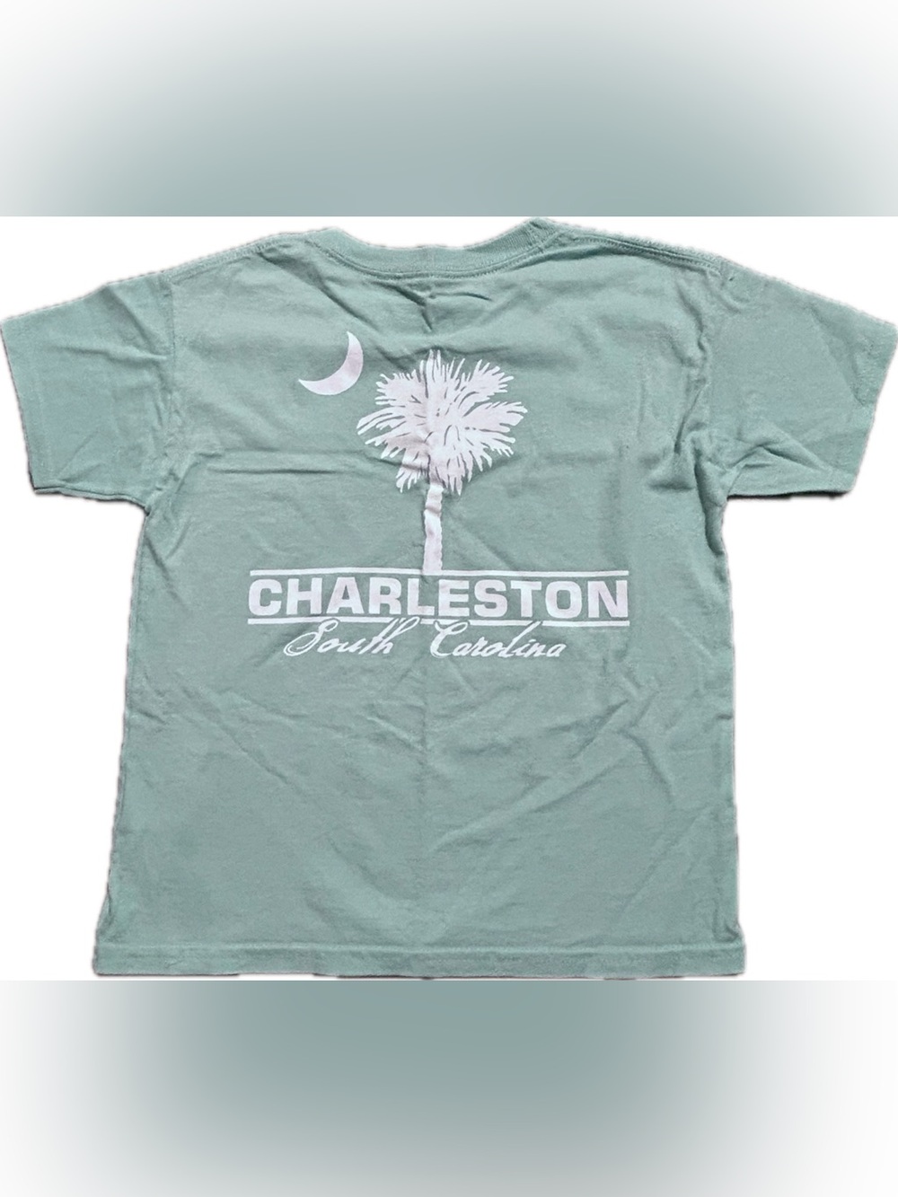 Youth Small Charleston South Carolina Palm Tree T-Shirt
